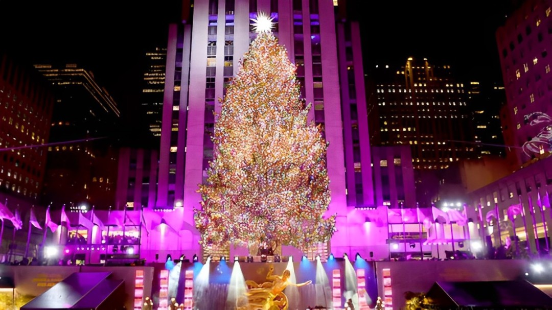 Natal di New York: Pohon Cemara Berusia 67 Tahun Siap Memukau Dunia