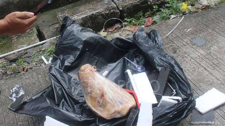 Kantor Tempo Dikirimi Kepala Babi: Bentuk Teror Pers Seperti Orde Baru